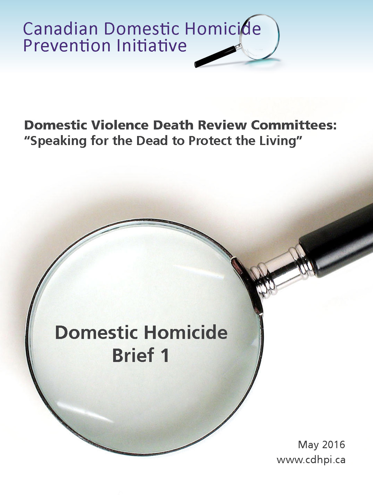 Logo with magnifying glass for Canadian Domestic Homicide Prevention Initiative