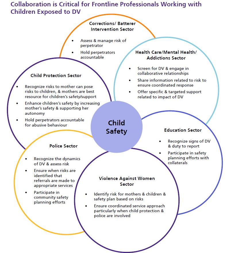 Collaboration is Critical for Frontline Professionals Working with Children Exposed to DV