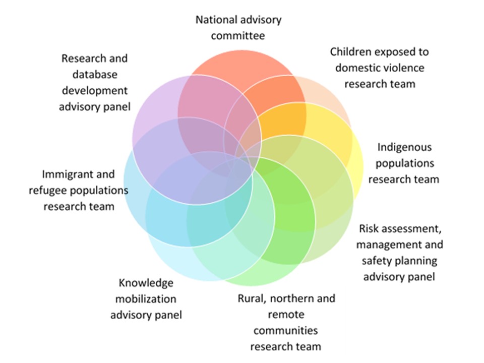 CDHPI Governance Model