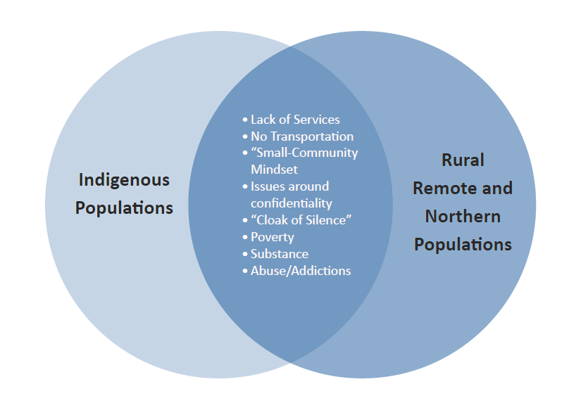 Figure 4. Diagram of barriers to service between Indigenous populations and rural, remote, and northern populations.