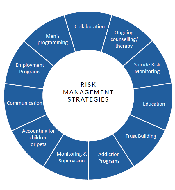  Figure 2. Risk Management Strategies